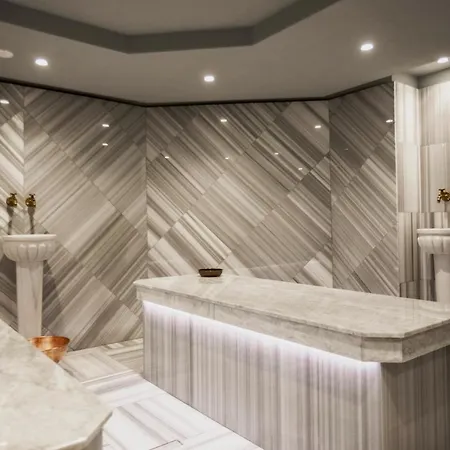 Kashmir Wellness & Adults Only 5* فيلينغراد