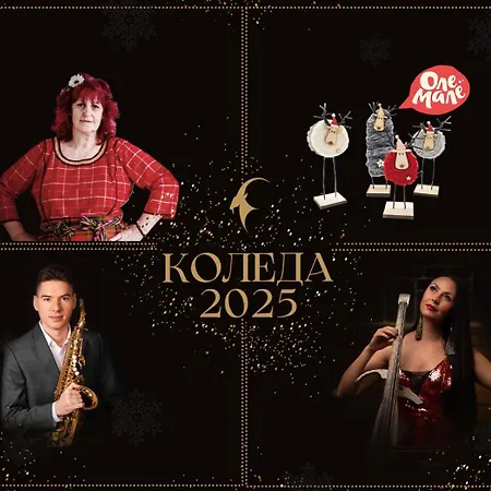 Kashmir Wellness & Adults Only 5* Velingrado