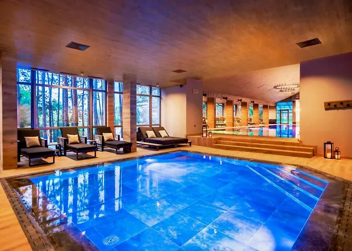 ホテル Kashmir Wellness & Adults Only ヴェリングラード