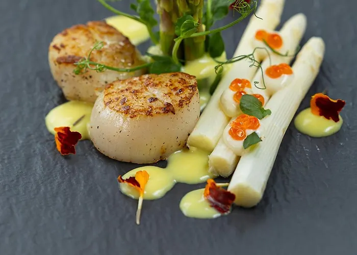 Хотел велина